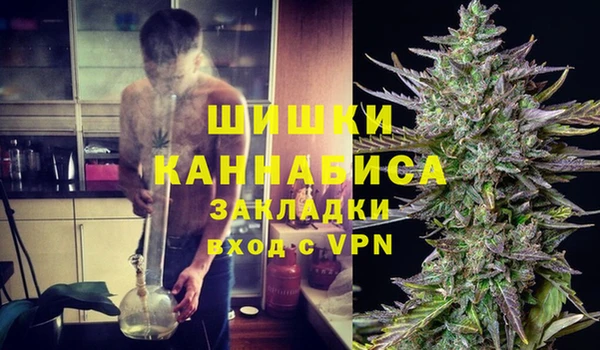 гашик Бородино