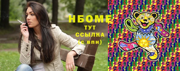 гашик Бородино