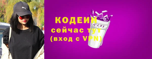 гашик Бородино