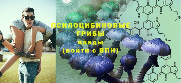 гашик Бородино